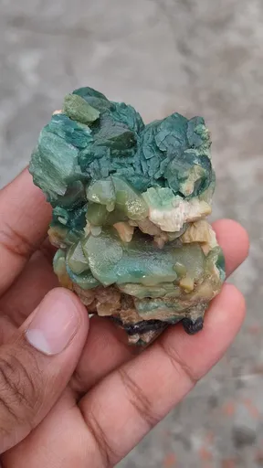 specimen video