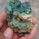 specimen video