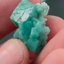 Green Calcite with Prehnite  Natural mineral specimen - image 2