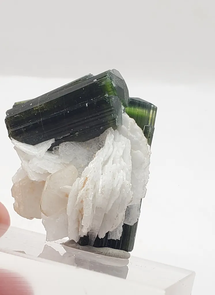 Green Cap Tourmaline Crystal with Albite from Pakistan, Gilgit-Baltistan, Haramosh Mts., Stak Nala - image 6