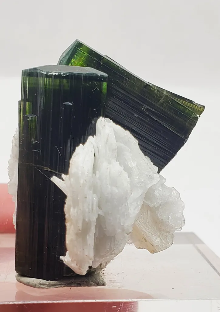 Green Cap Tourmaline Crystal with Albite from Pakistan, Gilgit-Baltistan, Haramosh Mts., Stak Nala - image 4