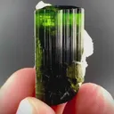 specimen video