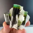 Green cap tourmaline from Pakistan - image 4