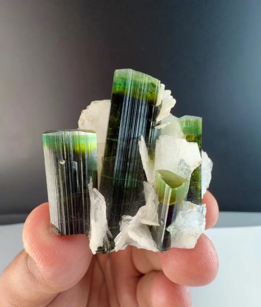 Green cap tourmaline from Pakistan image