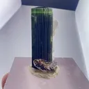 specimen video