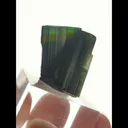 specimen video