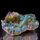 Green Chalcedony Specimen with Hematite. - image 1