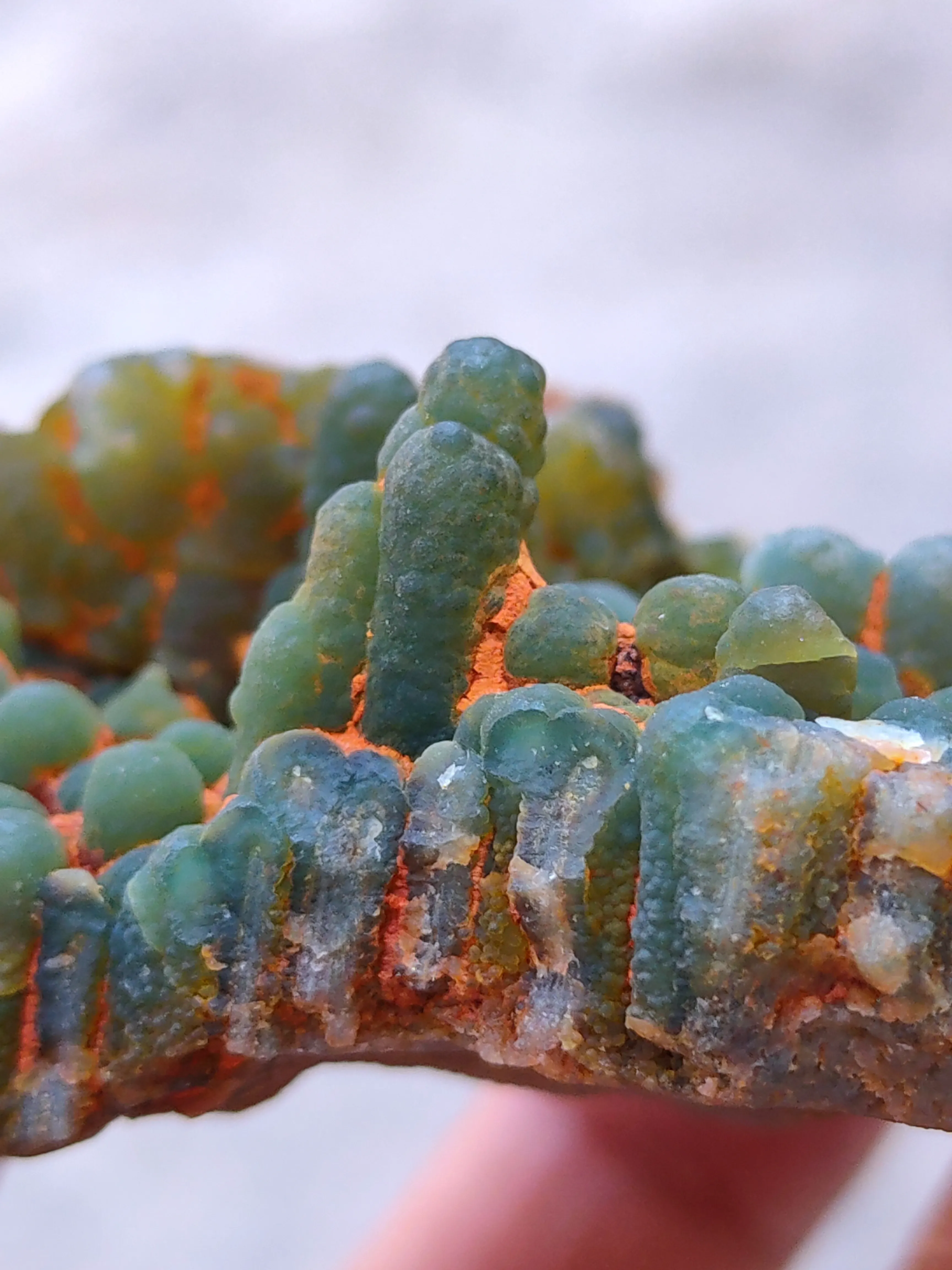 Green Chalcedony Specimen with Hematite. - image 6