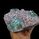 Green Floral Apophyllite sharp terminated Natural Mineral Specimen USA - image 3