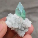 Green Fluorapophyllite with Stilbite on Prehnite Matrix. - image 8