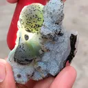 Green Fluorite Ball on Black Dots Natural specimen - image 5