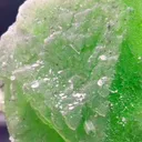 specimen video