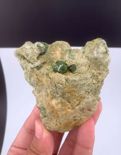 specimen video