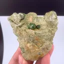 specimen video