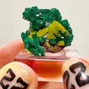 GREEN & Gold CONGO MAGIC - image 1