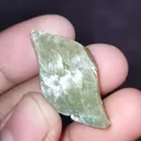 specimen video
