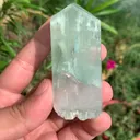 specimen video