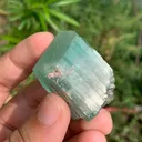 Green Kunzite Crystal from Afghanistan , Gem grade crystal - image 5