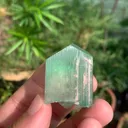 specimen video