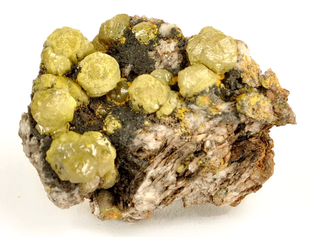 Green Mimetite Var. Campylite image