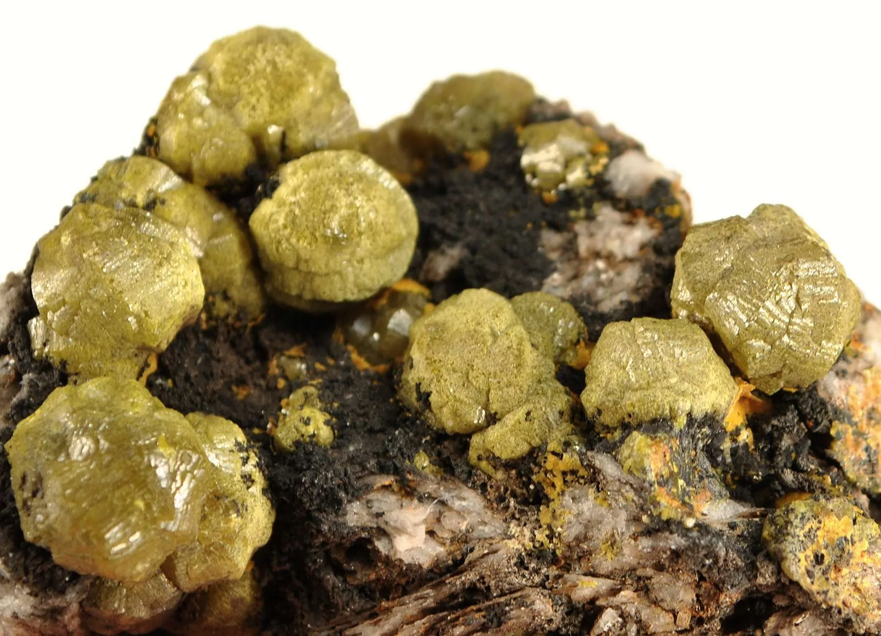 Green Mimetite Var. Campylite - image 2