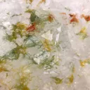 Green Moss in Apophyllite, Phantom Apophyllite - image 4