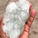 Green Moss in Apophyllite, Phantom Apophyllite - image 6