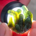 Green Phantom Chalcedony, Available for sale. - image 3