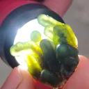 Green Phantom Chalcedony, Available for sale. - image 10