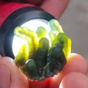 Green Phantom Chalcedony, Available for sale. - image 5