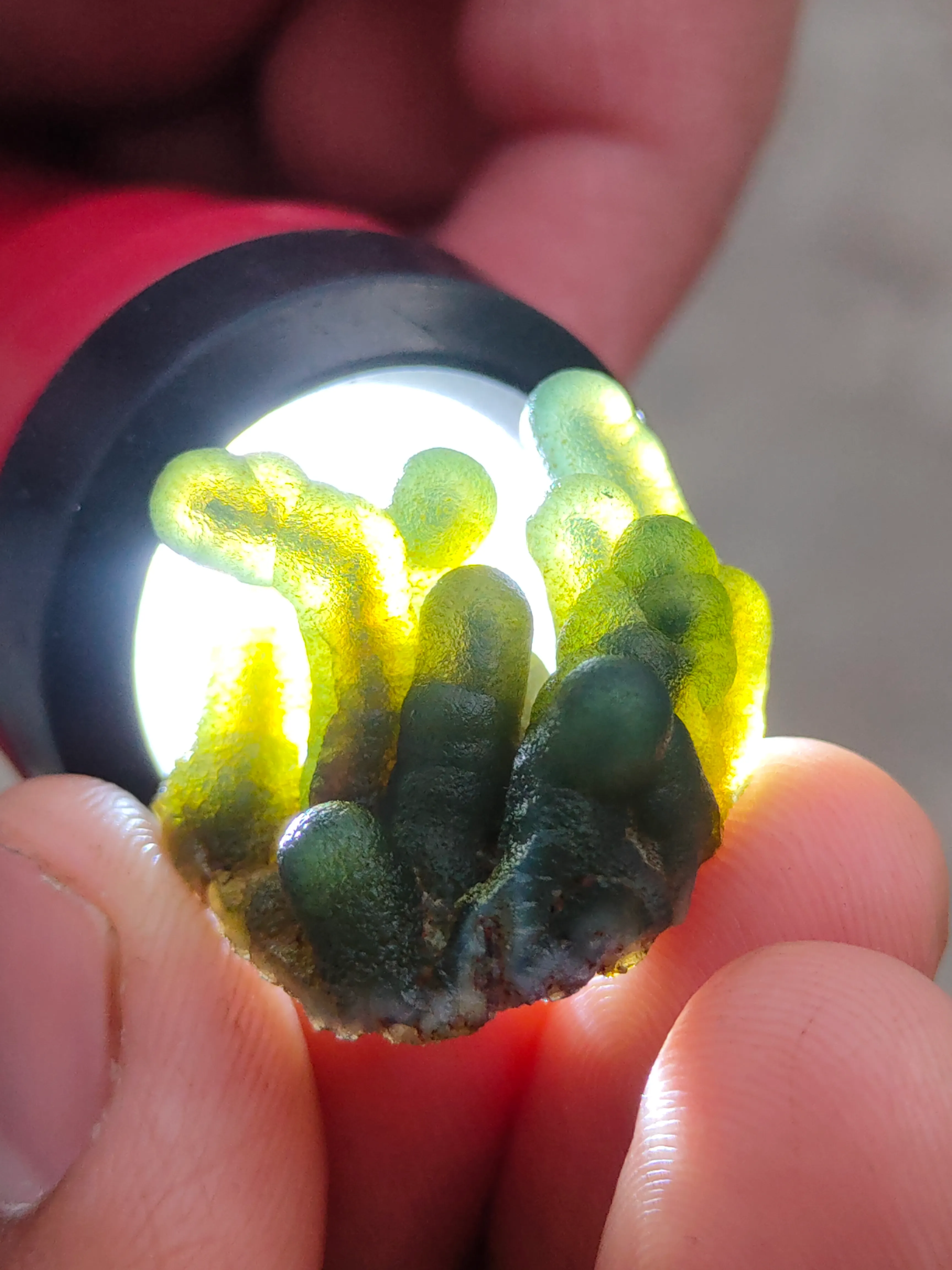 Green Phantom Chalcedony, Available for sale. - image 5