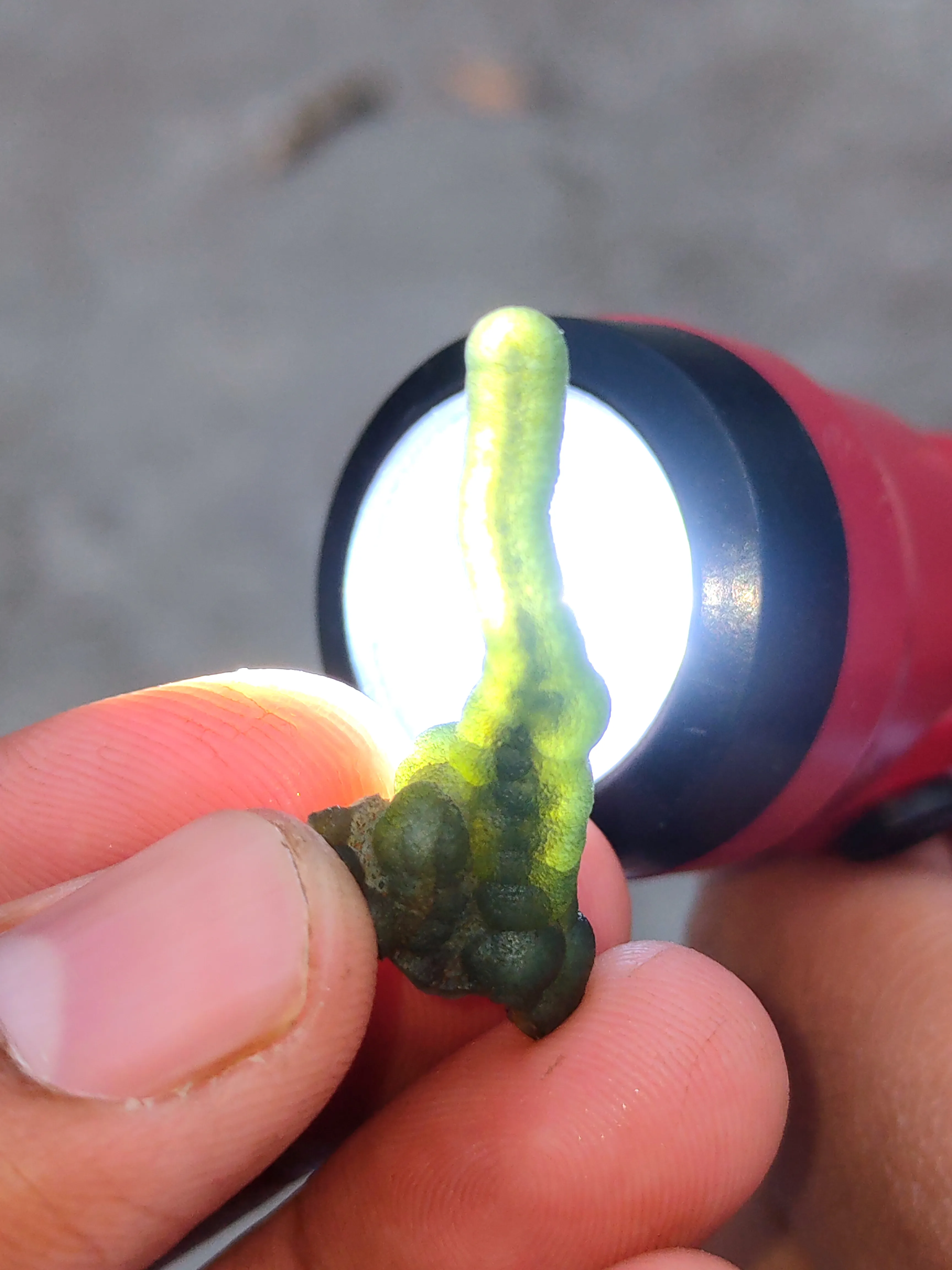 Green Phantom Chalcedony, Available for sale. - image 4