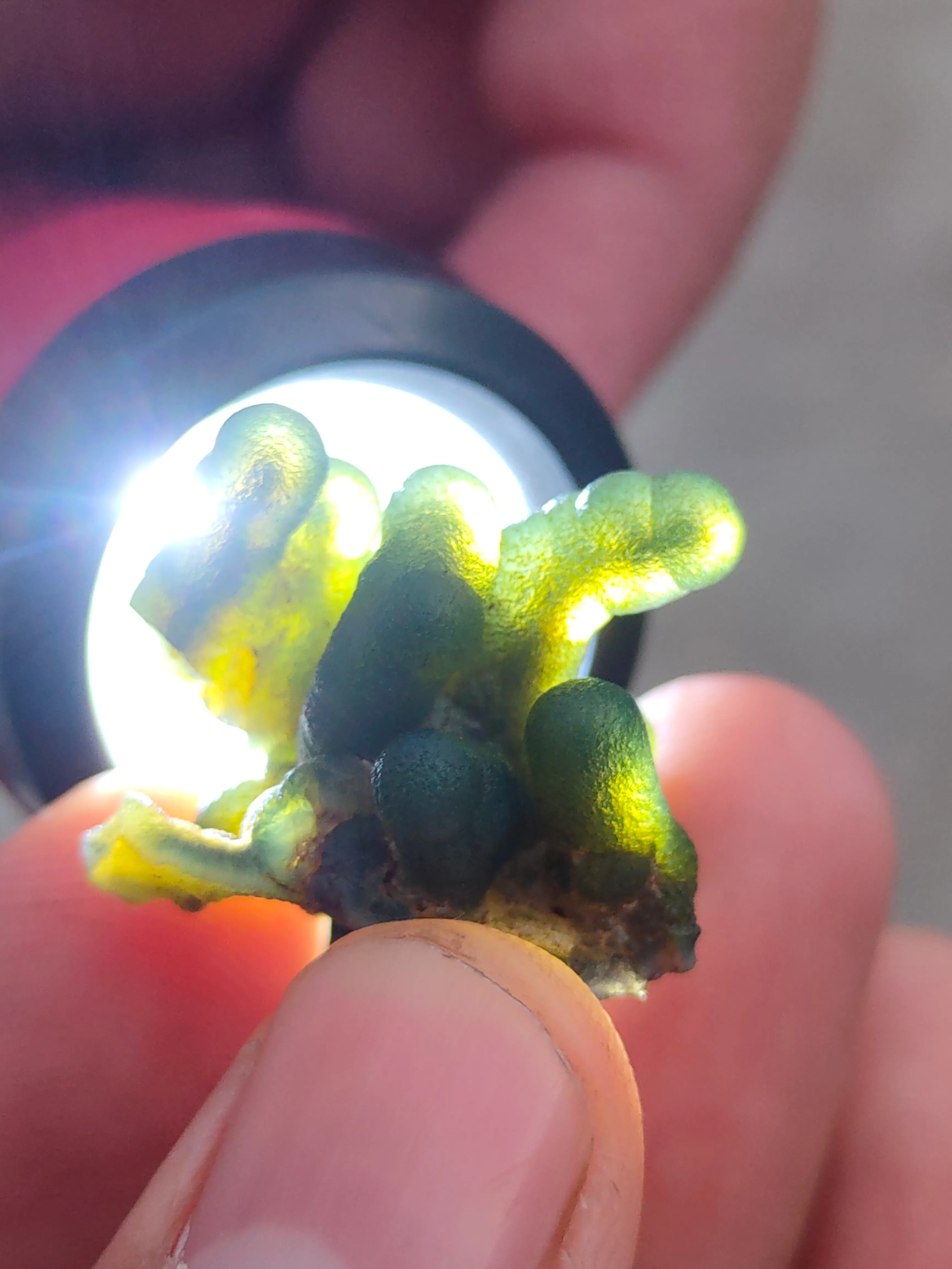 Green Phantom Chalcedony, Available for sale. - image 8