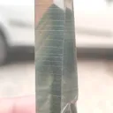 specimen video