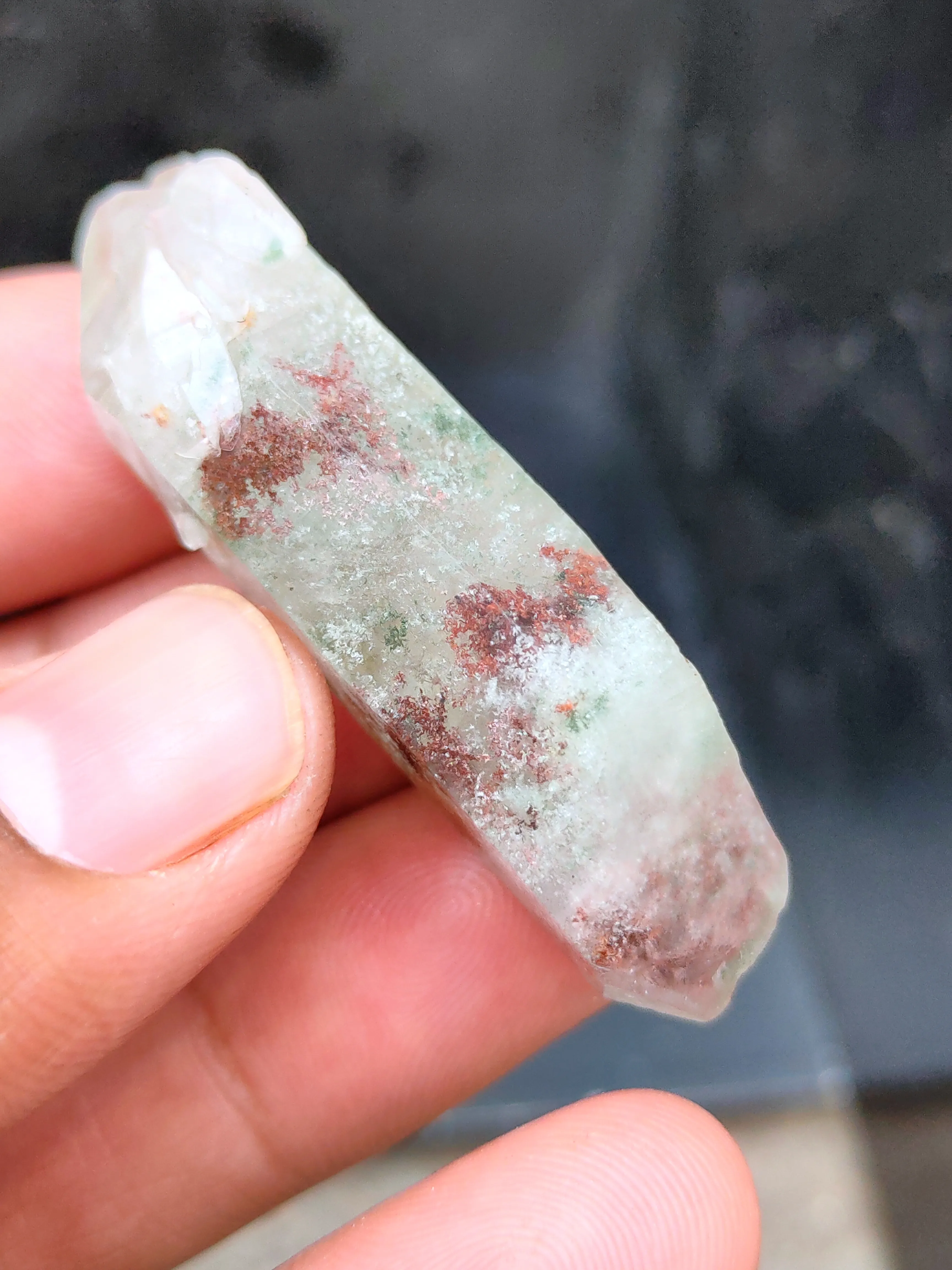 Green Phantom Himalayan - image 3