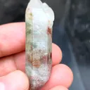 Green Phantom Himalayan - image 2