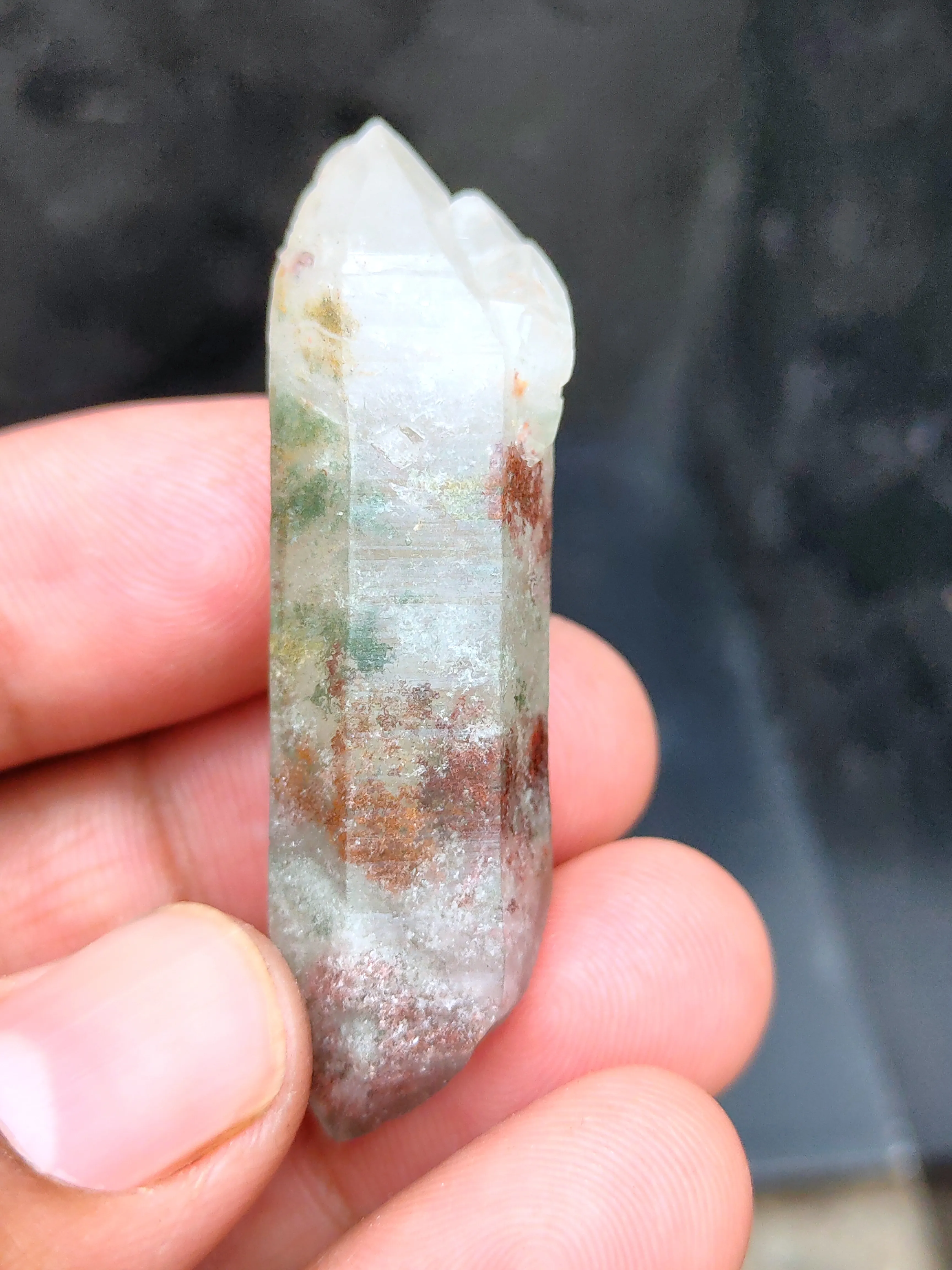 Green Phantom Himalayan - image 2