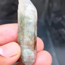 Green Phantom Himalayan - image 5