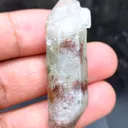 Green Phantom Himalayan - image 4