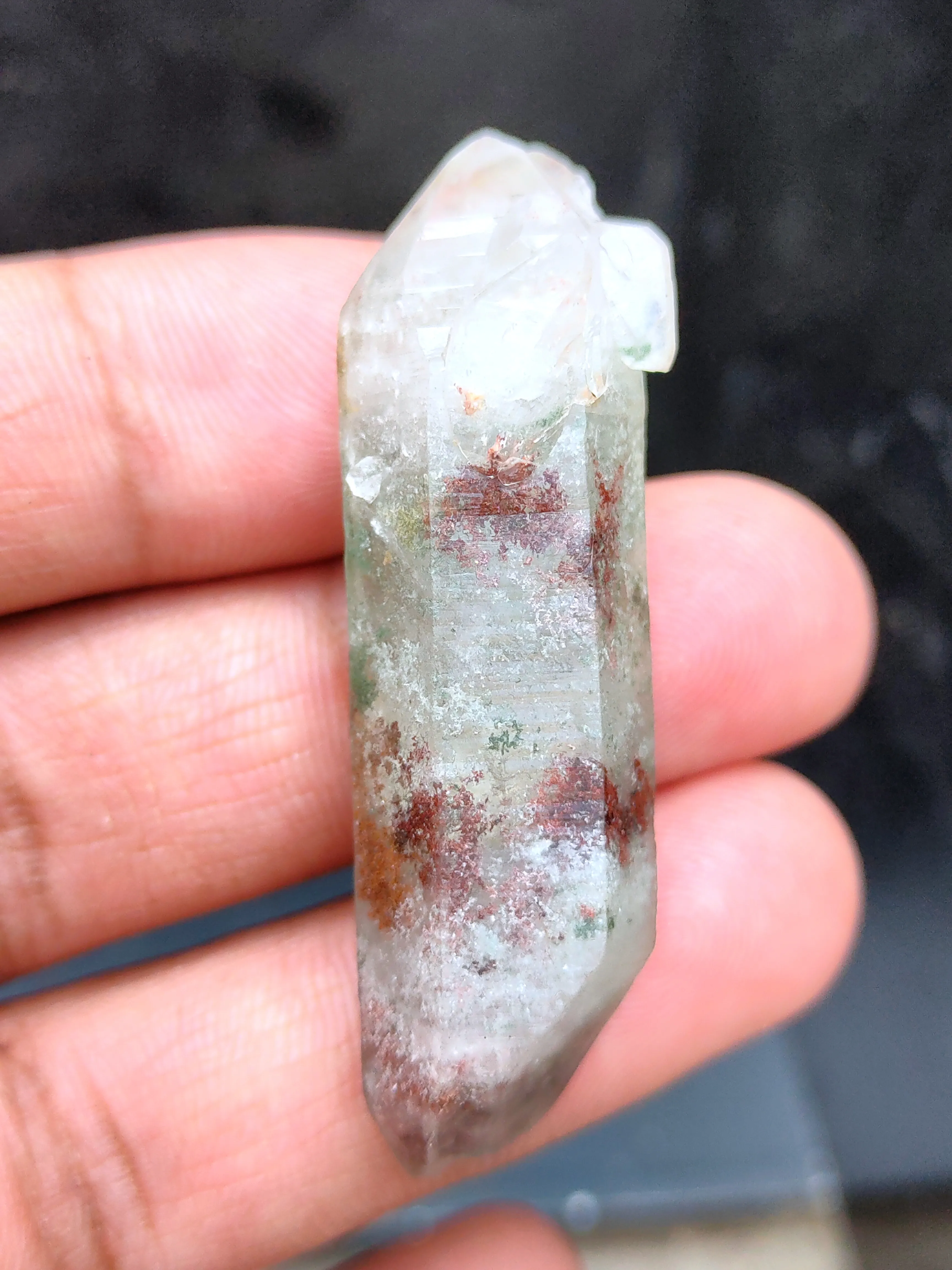 Green Phantom Himalayan - image 4