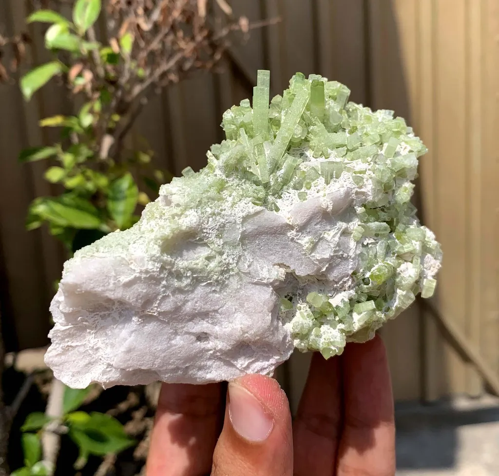 Green Terminated Tourmaline Crystals Cluster on Feldspar from Pakistan - image 6