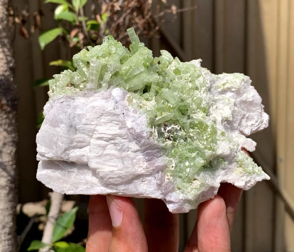 Green Terminated Tourmaline Crystals Cluster on Feldspar from Pakistan - image 4
