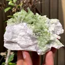 Green Terminated Tourmaline Crystals Cluster on Feldspar from Pakistan - image 4