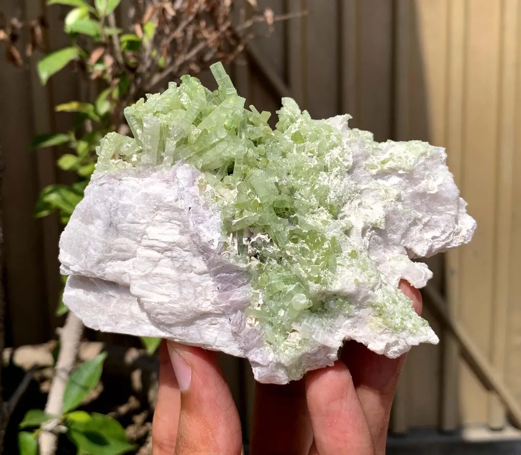 Green Terminated Tourmaline Crystals Cluster on Feldspar from Pakistan - image 8