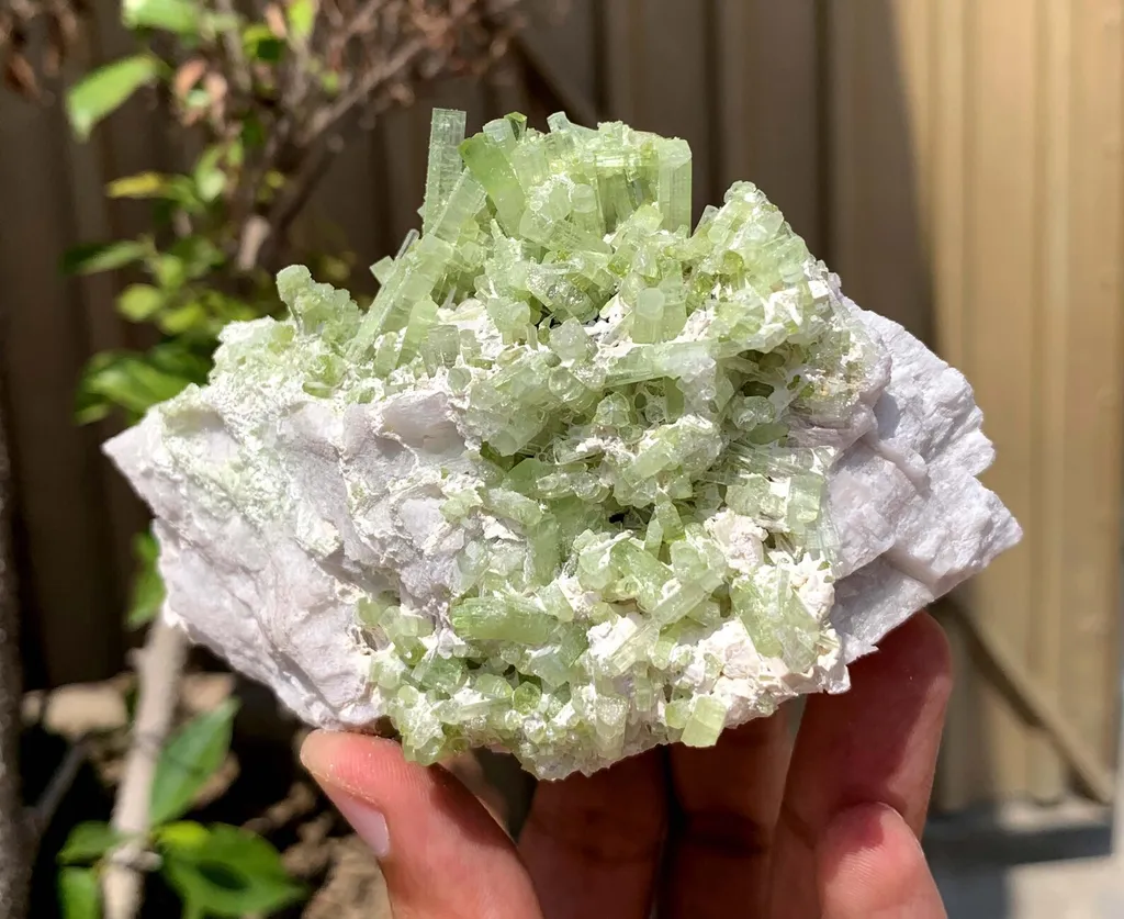 Green Terminated Tourmaline Crystals Cluster on Feldspar from Pakistan - image 3