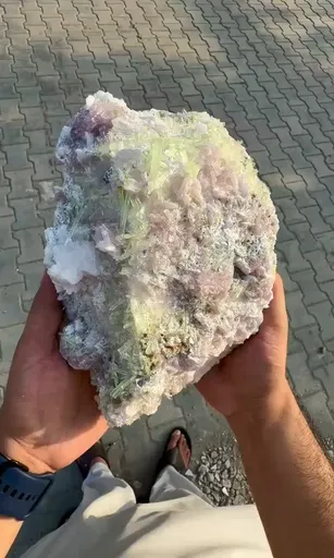 specimen video