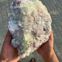 specimen video