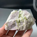 specimen video