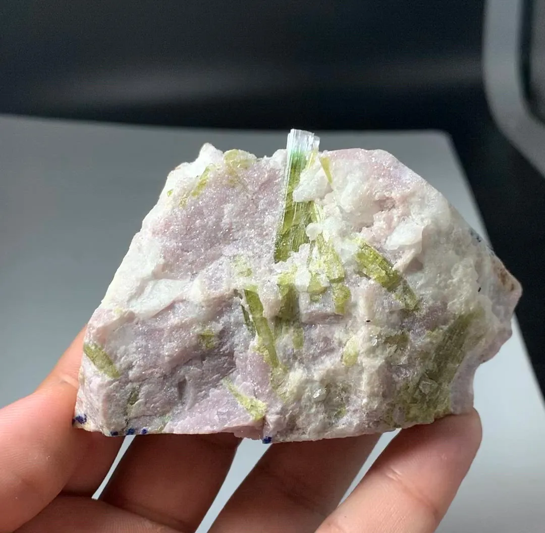 specimen video