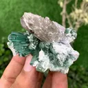 Green Tourmaline Crystals Bunch with Lepidolite and Quartz from Pakistan - image 5
